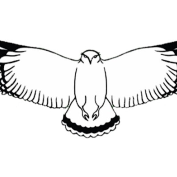 Meet your Posher, Gavin - Picture 1 of 1